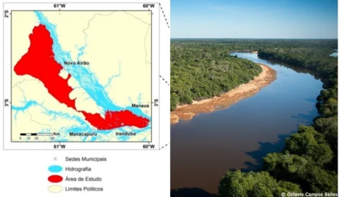 Área de Proteção Ambiental do Rio Negro está sob graves ameaças ambientais