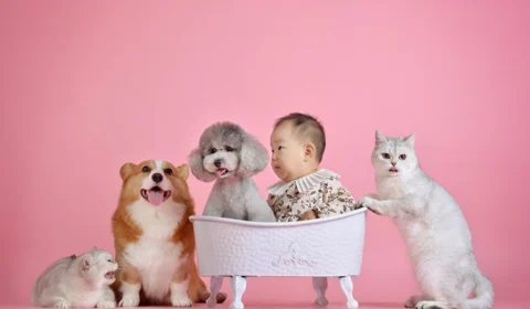 Mundo Pet: conheça sete benefícios dos animais de estimação para as crianças