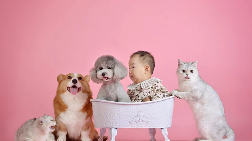 Mundo Pet: conheça sete benefícios dos animais de estimação para as crianças