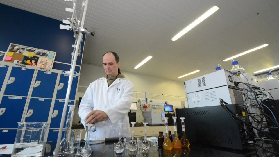 Pesquisa desenvolve técnicas mais eficientes para extração do óleo de jambu, no AM