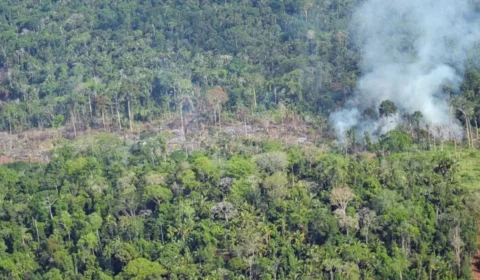 MPF inicia investigação sobre relatos de ataques de grileiros a indígenas no Pará