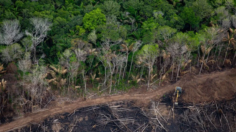 Comissão Pastoral da Terra aponta que 19 pessoas já foram assassinadas em conflitos no campo em 2022