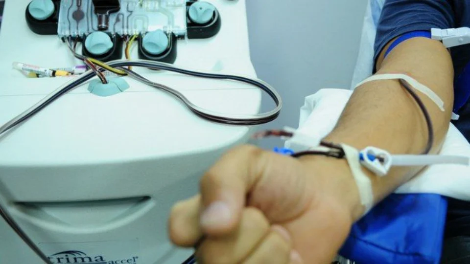 Leucemia pode ser diagnosticada por exame de sangue? Conheça 7 mitos e verdades da doença