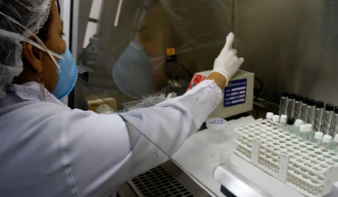 Monkeypox: Amazonas já registra 15 casos confirmados da varíola dos macacos