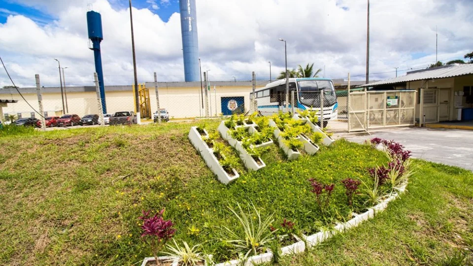 Seis detentos fogem pelo teto de ônibus durante transferência de presídio em Manaus