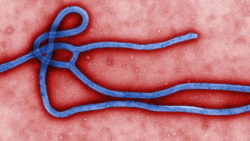 República Democrática do Congo declara novo surto de ebola