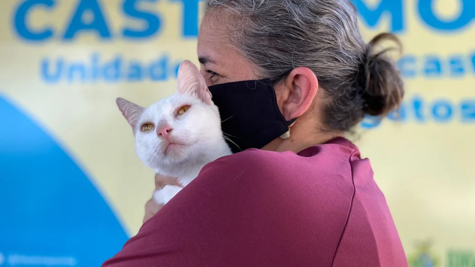 Sema promove mutirão de castração para cães e gatos na Cidade Nova, Zona Norte de Manaus