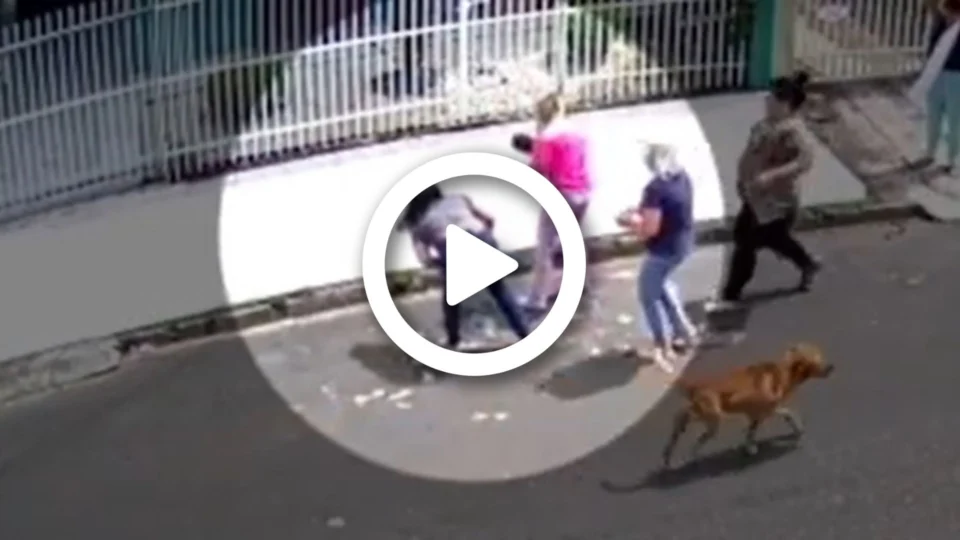 VÍDEO: de férias, policial escuta grito de mãe e salva bebê de afogamento, em Curitiba