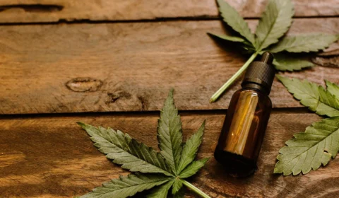 Em decisão inédita, STJ autoriza plantio de maconha a três pacientes para fins medicinais