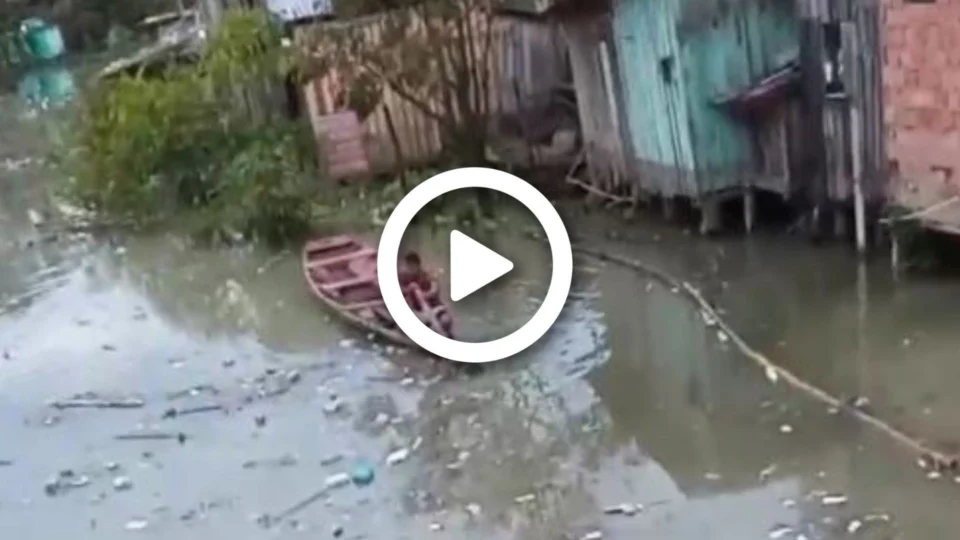 VÍDEO: corpo decapitado é encontrado em igarapé no bairro São Jorge, Zona Oeste de Manaus