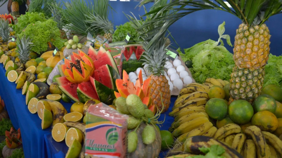 MPF cobra aquisição de alimentos para merenda escolar inclusiva de indígenas e comunidades tradicionais do AM