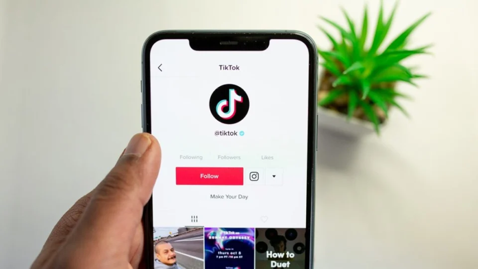 TikTok ganha função para adicionar gifs com sons