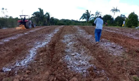 TCE atende MPAM e determina suspensão de pregões para materiais agrários, em Manaquiri