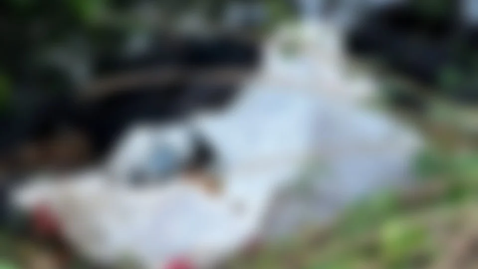 Corpo de homem é encontrado dentro de saco em área de mata na Zona Sul de Manaus