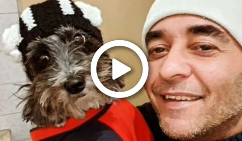 Conheça Ruby, cadelinha motogirl de São Paulo