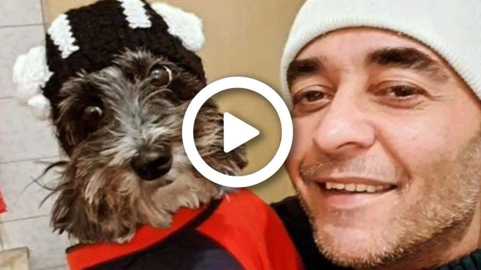 Conheça Ruby, cadelinha motogirl de São Paulo