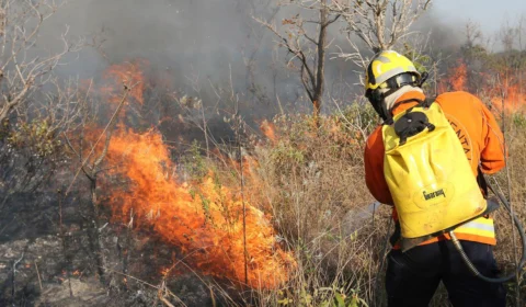 Força Nacional combaterá incêndios florestais e queimadas no Amazonas