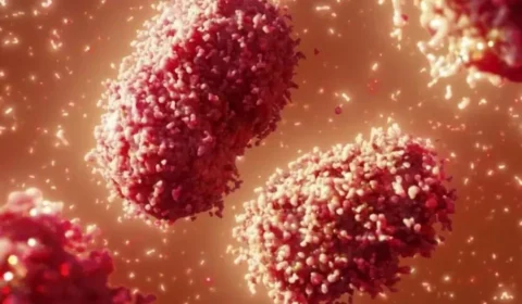 Brasil registra sétimo caso de varíola do macaco, confirma MS