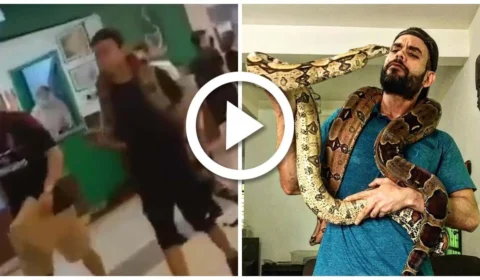 VÍDEO: jovens passeiam com jiboia de 3 metros em shopping de Cuiabá