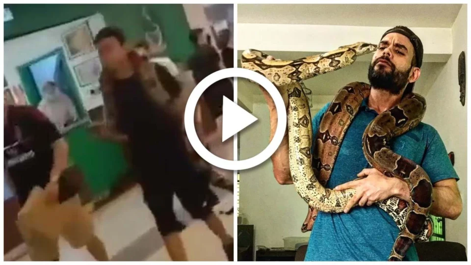 VÍDEO: jovens passeiam com jiboia de 3 metros em shopping de Cuiabá