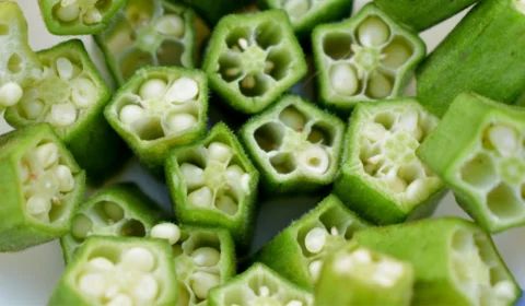 Estudo aponta que quiabo pode ajudar a remover microplásticos de mares e rios