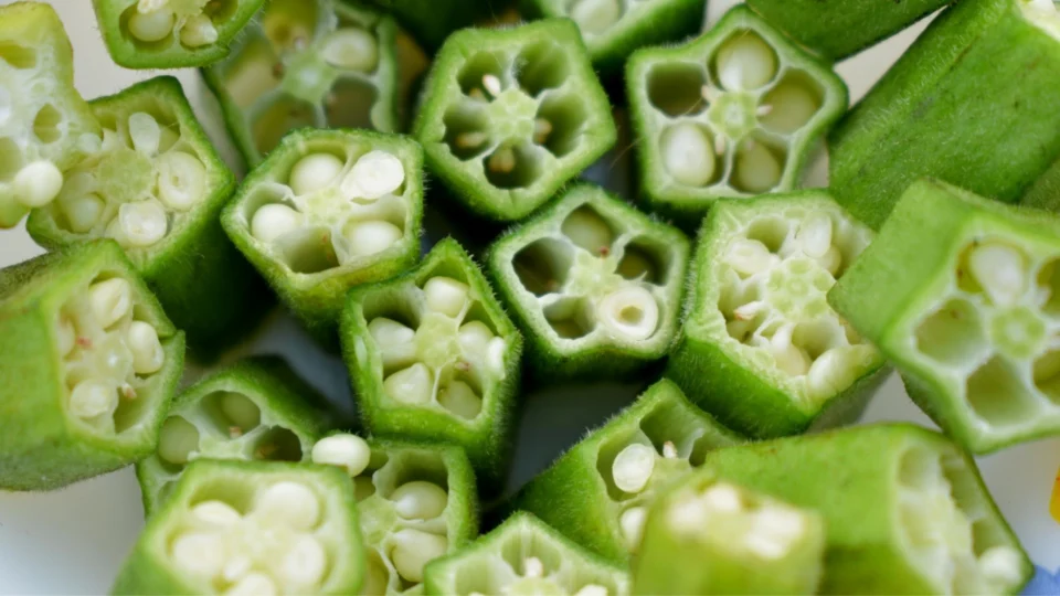 Estudo aponta que quiabo pode ajudar a remover microplásticos de mares e rios