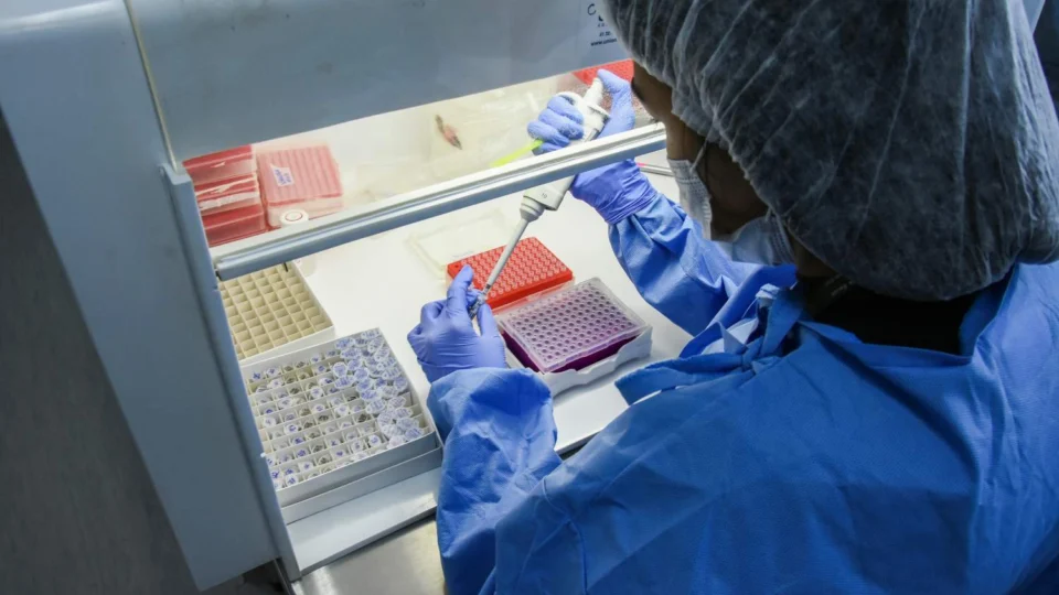 Fiocruz Amazônia faz primeiros sequenciamentos de genoma do vírus causador da Monkeypox na região norte