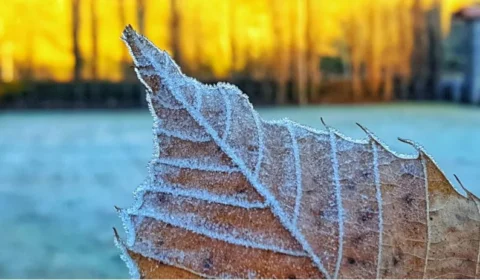 Inverno começa oficialmente nesta terça-feira no Brasil