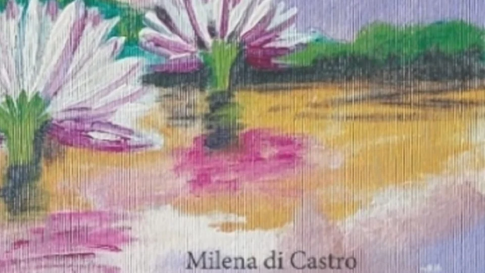 Escritora amazonense lançará livro na Bienal do Livro em São Paulo