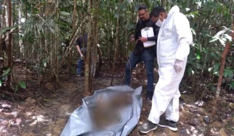 No Amazonas, ossadas humanas são encontradas em área de mata da Cidade Universitária