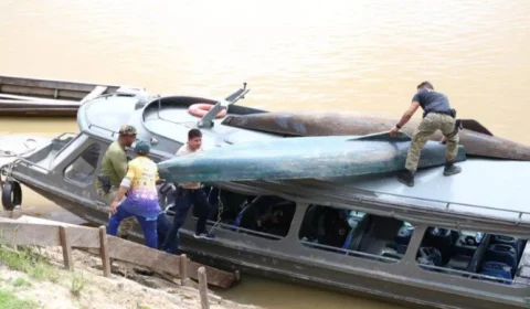 Caso Dom e Bruno: canoas apreendidas durante buscas devem passar por perícia na próxima semana