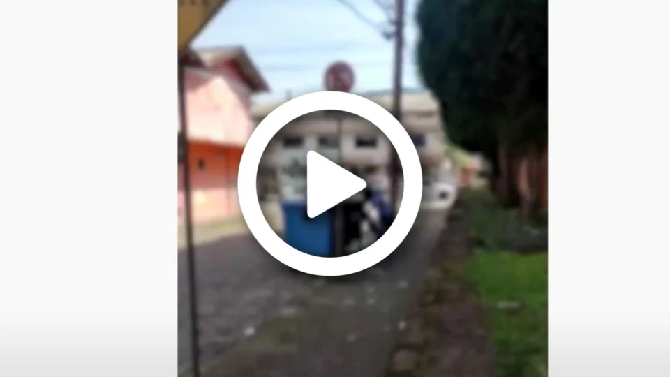 VÍDEO: mulher é flagrada jogando cachorro dentro de container de lixo em Santa Catarina