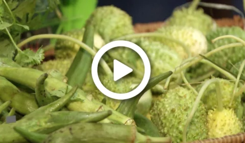 VÍDEO: cheia impossibilita escoamento de hortifruti para Manaus