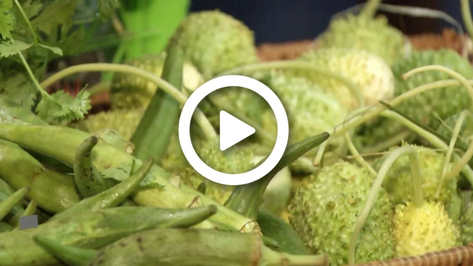 VÍDEO: cheia impossibilita escoamento de hortifruti para Manaus