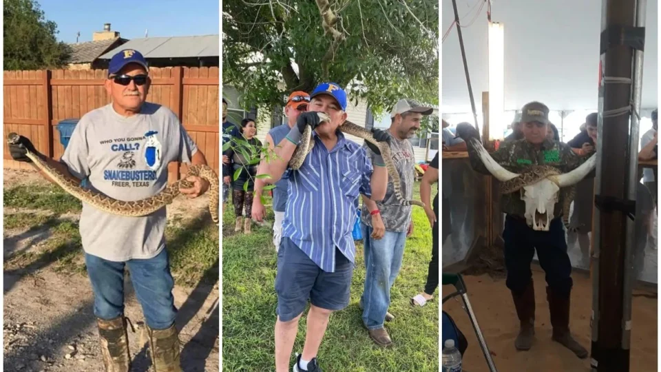 Domador de cobras experiente morre após ser picado por cascavel em festival, nos EUA