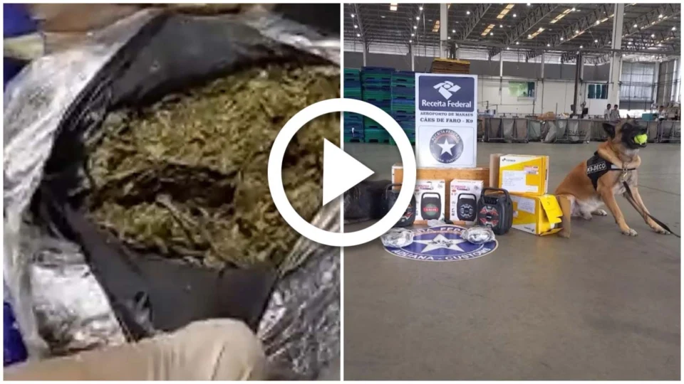 VÍDEO: maconha é encontrada dentro de caixa de som que seriam enviadas por correio em Manaus