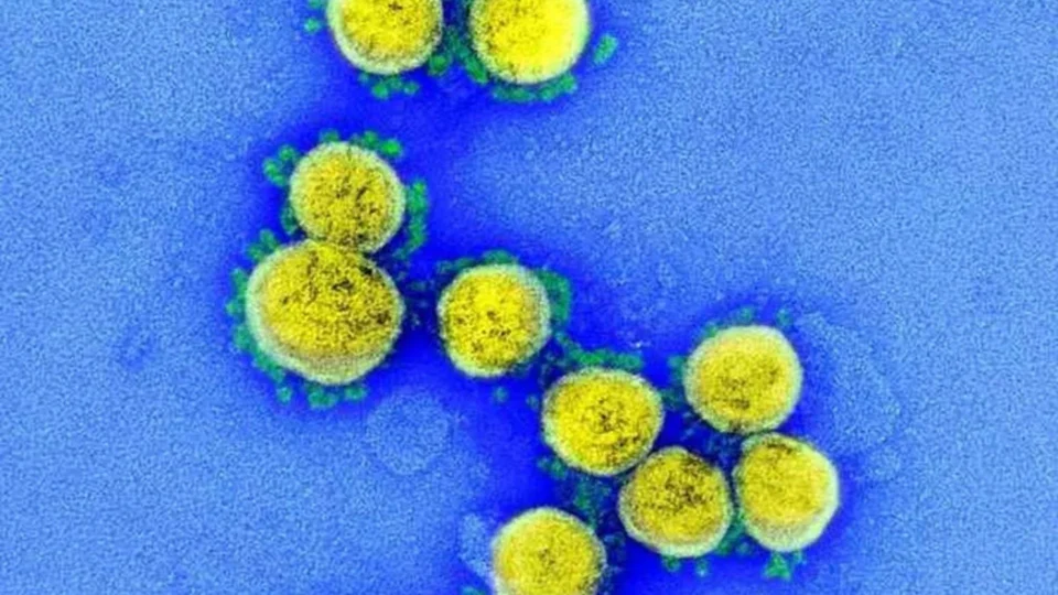 UFMG detecta nova linhagem da variante ômicron no Brasil