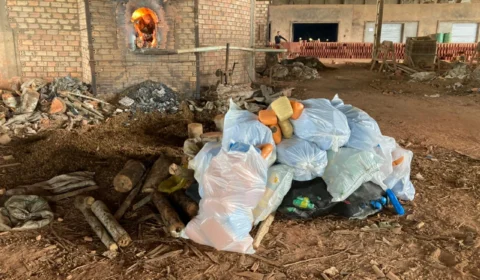 PC-AM incinera mais de 400 quilos de drogas em Tefé