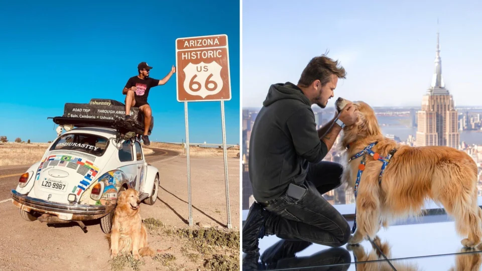 Cinzas de cão morto em acidente nos EUA chegam ao Brasil 2 meses após morte ao lado de seu tutor