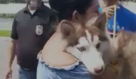 Após dois meses, polícia recupera cachorra roubada de condomínio em Iranduba-AM