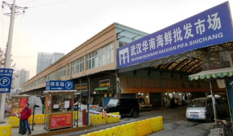 Novos estudos reforçam que animais vendidos em mercado de Wuhan causaram pandemia da Covid-19