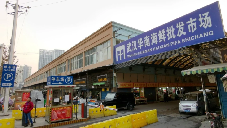 Novos estudos reforçam que animais vendidos em mercado de Wuhan causaram pandemia da Covid-19