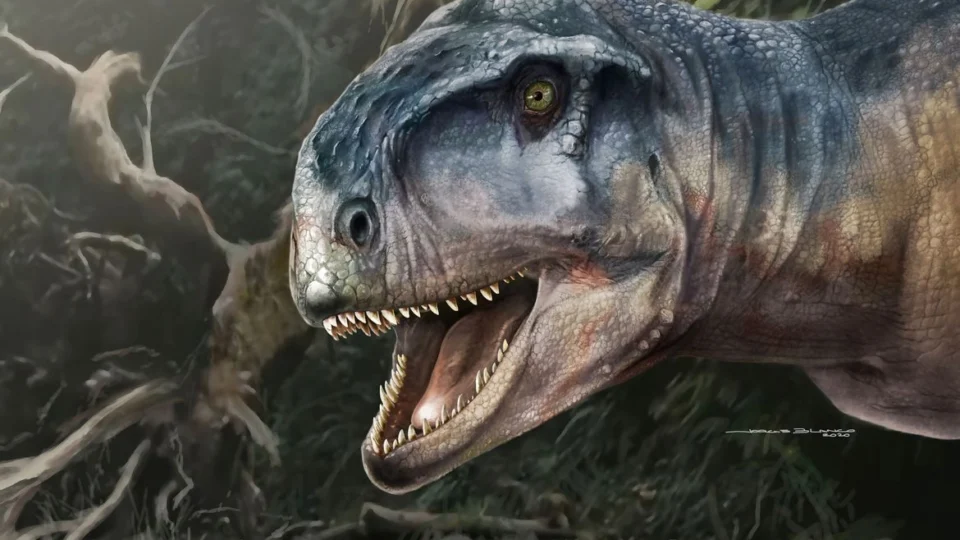 Cientistas descobrem cratera semelhante à formada por colisão de asteroide que extinguiu dinossauros da terra