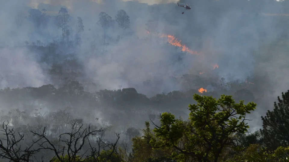 Decreto suspende queimadas em todo território nacional