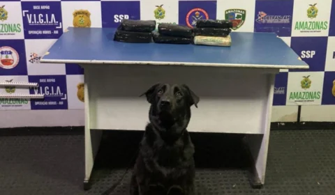 No AM, mais de 6 kg de drogas são apreendidas em embarcação no Rio Solimões