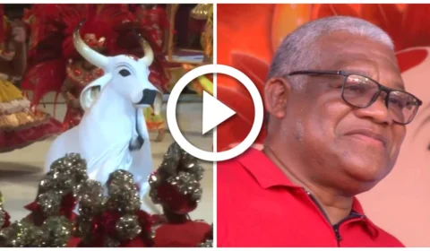 VÍDEO: Boi Caprichoso ganha Festival Folclórico de Parintins sob polêmicas envolvendo diretoria do Boi Garantido