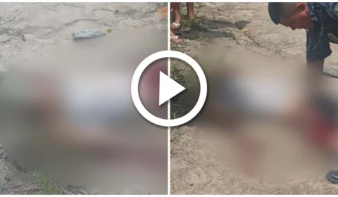 VÍDEO: homem é encontrado morto em área de mata da Zona Norte de Manaus