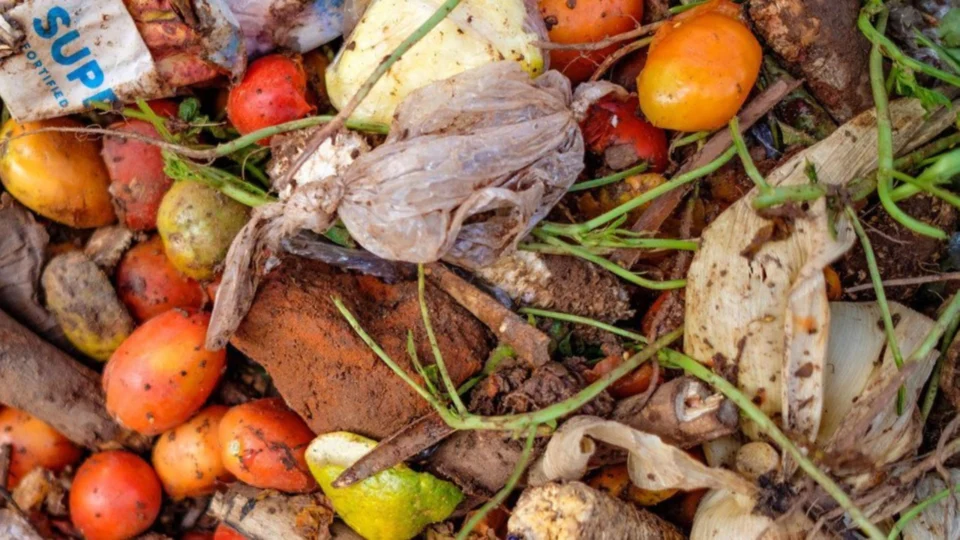 Comida desperdiçada pode alimentar 1,26 bilhão de pessoas, afirma ONU