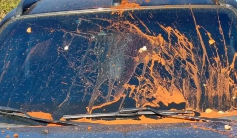 Carro de juiz que autorizou prisão de Milton Ribeiro é atingido por fezes de animais, ovos e terra, em Brasília