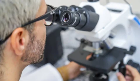 Abertas inscrições para Chamada Transnacional com investimentos de 27 milhões de euros, no AM